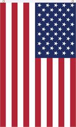 United States Fly Flag Image