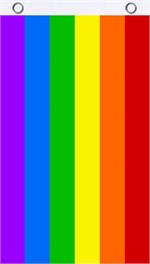 Rainbow Fly Flag