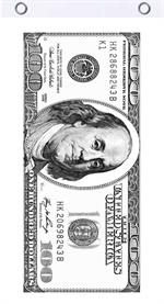Hundred Dollars Fly Flag Image