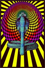 Spellbound Cobra - Non Flocked Blacklight Poster Image