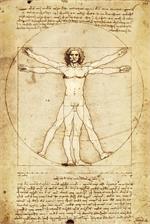 Leonardo Da Vinci Vitruvian Man Poster Image