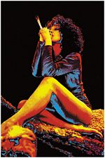 THE JOINT NON FLOCKED BLACK LIGHT POSTER - 24