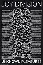  Joy Division - Unknown Pleasures Poster - 24