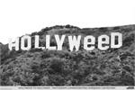 HOLLYWEED POSTER - 24