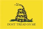 DON'T TREAD ON ME AMERICAN INDPENDENCE POSTER - 24