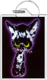 Sad Cat Keychain Clear Background Image