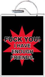 I Have Enough Friends Keychain Clear Background Image