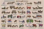 Hooves and Wheels Educational Poster Image