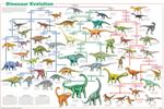 Dinosaur Evolution Educational Poster 24x36 image