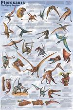 Pterosaurs Educational Poster Image