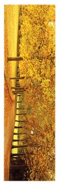 Autumn Leaves Slim Print - 12