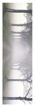 Morning Mist Slim Print Poster Image