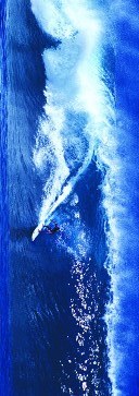High Surf Slim Print - 12
