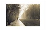 Jardin De Versailles Poster - 24