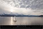 Destiny Poster - 24