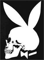 Postcard - Skull Bunny Image