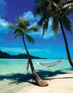 BEACH HAMMOCK PRINT - 16