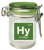 Hy 