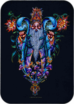 Wizard - Mike Dubois Sticker Image