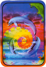 Dolphins - Large Sticker Image
