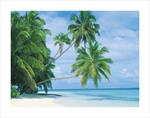 Fihalhohi Island Mini Poster Image