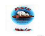 White Cat Cigar Poster Image