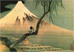 Boy on the Tree Poster Image